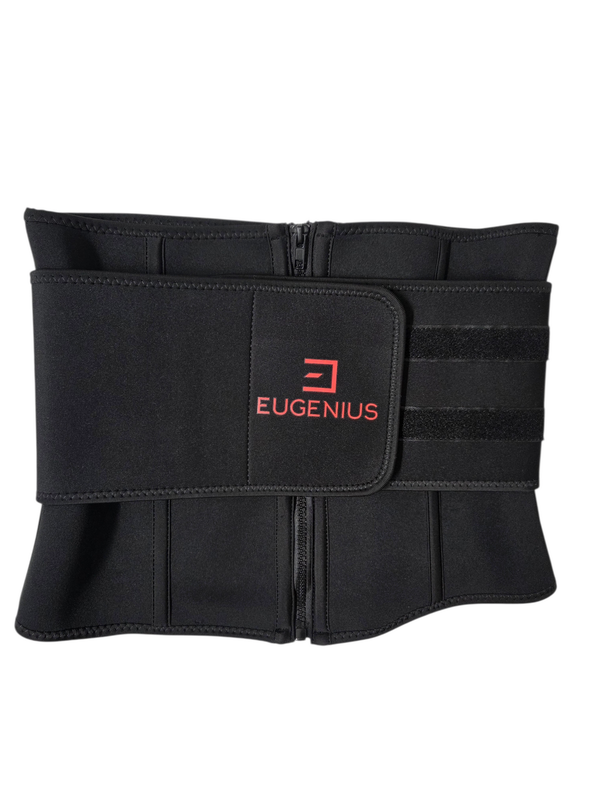 2026 Support Belt - Premium